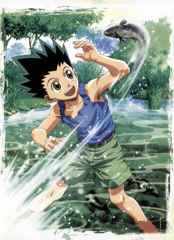 gon-hxh