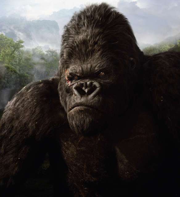 2005_king_kong_74-702466