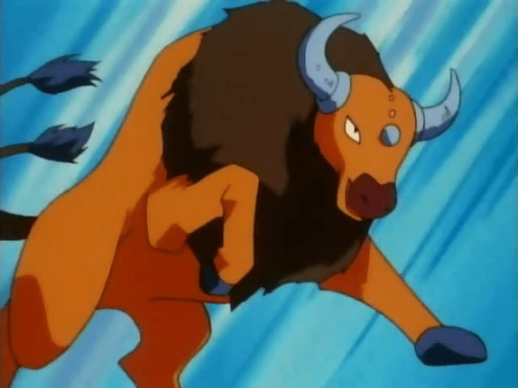 Tauros_anime