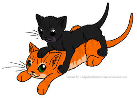 firestar_and_ravenpaw_by_lucymaggielover-d3absrs
