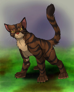 TIGERSTAR-warrior-cats-2590120-300-373