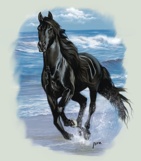 Black_Beauty_by_Isra2007