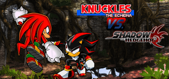 Knuckles-v-Shadow