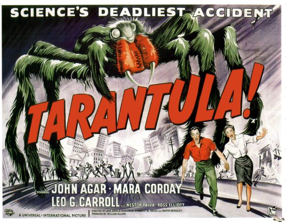 tarantula1