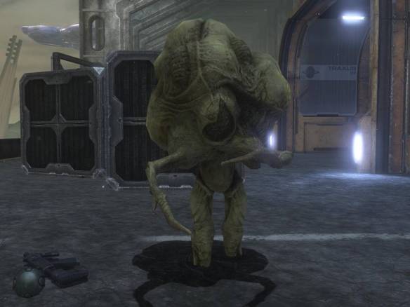 1216051145_Carrier_form