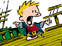 Calvin_Pirate
