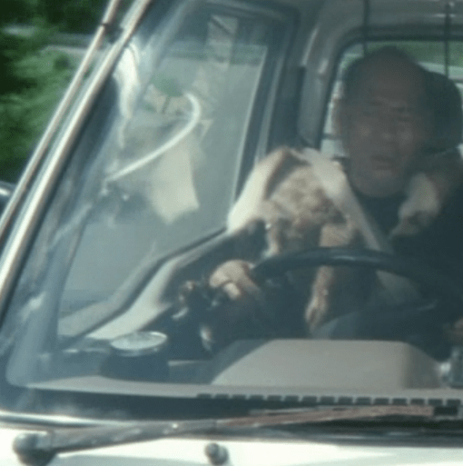 Godzilla_Final_Wars_-_4-3_Minilla_in_the_Passanger_Seat