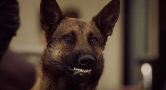 7310eb516c325b4e4ee39b77a74a3f507aad574f