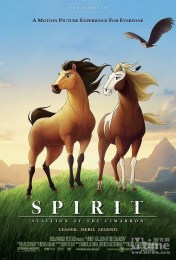 094723-89943091_1000x1000